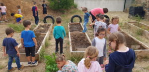 Lire la suite à propos de l’article c’est parti pour le jardin